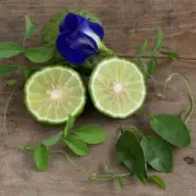 BERGAMOT & PATCHOULI Fragrance Oil for making Candles, Soaps, Wax Melts etc.