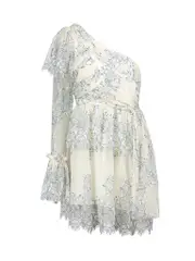 Cream & Blue Floral Mesh Lovely Mini Dress