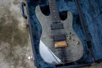 在飛比找Yahoo!奇摩拍賣優惠-詩佳影音T's Guitars Dst pro Custom