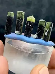 Green Cap Tourmaline Crystals 4.43 Gram’s