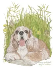Cocker Spaniel Birthday Card 5 x 7 with Envelope