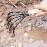 US Garden Hand Cultivator Claw Garden Rake Works Hoe And Tiller Gardening Ha Hot