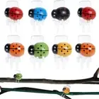 30PCS Ladybug Orchid Clip Garden Flower Cymbidium Plastic Clip Stem Support Clip