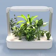 Rysa Light 12 Pods Indoor Garden Hydroponics Growing System,24W LED Grow Light,6.5L Water Tank,Pump System,Automatic Timer Smart Vegeable and Fruit Grow Garden Kit,White