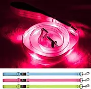 Blinlit Led Dog Leash, 4 Ft Light Up Dog Leash Rechargeable Waterproof, Nylon Reflective Leashes with Padded Handle for Night Walking, Safety Glow in The Dark Dog Leash for Large Medium Small Pets