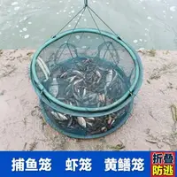 在飛比找樂天市場購物網優惠-買一送一魚網蝦籠抓魚籠折疊漁網捕魚網龍蝦網捕蝦籠撲魚手拋網小