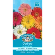 Mr Fothergill's African Daisy Gerbera Flower Seeds