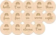 Generic 14 Pieces Milestone Cards Creative Round Monthly Milestones for Monthly Recording Disc Commemorate Birth Newborn Gifts