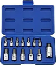 Neiko 10074A Hex Bit Socket Set, S2 Steel | 13-Piece Set Metric
