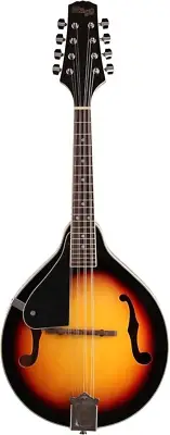 M20 Left-Handed 8-String Bluegrass Mandolin with Adjustable Bridge - Violinburst
