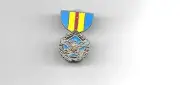DOD DISTINGUISHED SERVICE MEDAL MILITARY LAPEL HAT PIN