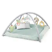 Ingenuity Calm Springs Plush Baby/Infant Activity Gym Mat Chic Boutique 0m+