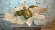 VINTAGE SOVIET RUSSIAN USSR Red ARMY MILITARY BOTTLE WATER FLASK VODKA CANTEEN