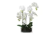 Glamorous Fusion Orchid 70cm Artificial Faux Plant Decorative Arrangement In Flat Glass White