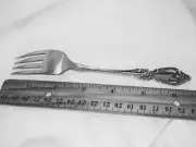 Raphael 6.75 inch salad fork Oneida New stainless steel benefits youth charity