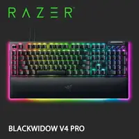 在飛比找樂天市場購物網優惠-【hd數位3c】Razer BlackWidow V4 Pr