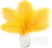 Gold Craft Ostrich Feathers - 30PCS 6-8 Inch Ostrich Feather Kit for Kindergarte
