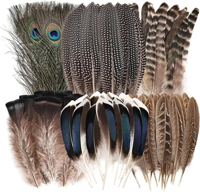 Natural Feathers Bulk - 55PCS - 6 Styles Assorted Natural Feathers, Peacock