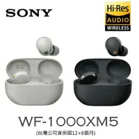 在飛比找Yahoo!奇摩拍賣優惠-【送矽膠保護套】SONY WF-1000XM5 真無線降噪 