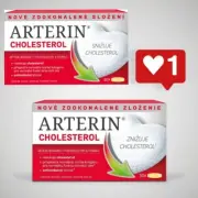 ARTERIN® Cholesterol Lowering & Maintenance Good Cholesterol Level 2x30 tbl