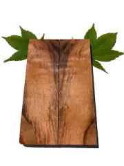 Book Matched Stabilized Spalted Maple Knife Scales COLOR SERIES