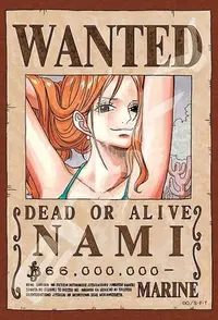 在飛比找Yahoo!奇摩拍賣優惠-日本拼圖 One piece 海賊王 航海王 懸賞 通緝 娜