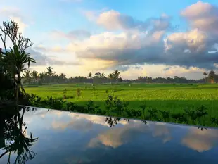 烏布無限別墅Infinity Villa Ubud