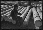 Lumberjack waiting for load of logs to be pulled away near Effie, Minnesota