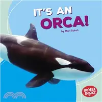 在飛比找三民網路書店優惠-It's an Orca!