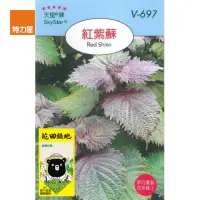 在飛比找momo購物網優惠-【特力屋】花田綠地種子-紫蘇