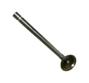 Generic SPE 1859 H-EB Engine Exhaust Valve