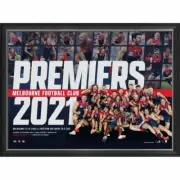 MELBOURNE DEMONS 2021 PREMIERS FRAMED AFL POSTER PETRACCA GAWN AFL MEMORABILIA