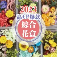 在飛比找momo購物網優惠-【2square shop】4入組 高CP乾燥花盒 乾燥花 