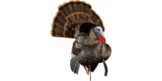 Avian-X HDR Strutter Turkey Multi Decoy - AVXAVX8108