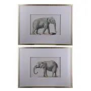 Set Of 2 Elephant Framed Wall Art Hanging Screen Sign Prints Decor 60x80cm