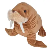 Cuddlekins Walrus Plush Toy