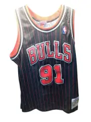 NBA Chicago Bulls Pinstripe Dennis Rodman Mitchell & Ness Swingman Jersey Sz LRG