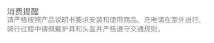 柏思圖智能電動自動平衡車兒童成年雙輪體感新款腿控平行車帶扶桿