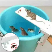 Rat Trap Catch Walk The Plank Humane Bucket Mice Auto Reset New Mouse Trap Catch