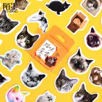 在飛比找蝦皮購物優惠-46貼入 貓咪鑒賞系列貼紙 可愛動物手賬貼畫 DIY相冊紙盒