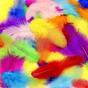 800Pcs Colorful Craft Rooster Feathers 3-5-Inch Bulk Feathers for Crafting Kinde