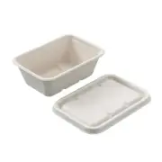 240PCS L&L 750ML Eco Biodegradable Disposable Takeaway Box Food Containers