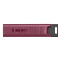 在飛比找PChome24h購物優惠-Kingston 256GB 256G【DTMAXA/256