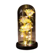 Catzon Galaxy Rose Light Glass Dome Romantic Gifts on Valentines Day-WarmLightA