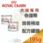 皇家處方罐頭 犬貓專用 ROYAL CANIN恢復期營養補給配方罐頭-195G 可取代ICU犬貓重症營養液