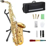 GarveeLife E Flat Alto Saxophone, AS-100 Alto Saxophone with Mouthpiece, Reeds, Stand, Case, Cleaning Cloth, Gloves and Brush, Gold Alto Sax for Beginner and Student Musicians
