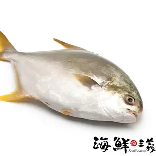 【海鮮主義】金鯧魚(約500G)