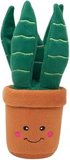 Zippypaws Snake Plant