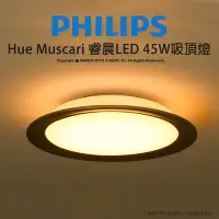 在飛比找Yahoo!奇摩拍賣優惠-【薪創新竹】Philips 飛利浦 Hue Muscari 