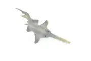 Sawfish, Carpenter Shark, Ray, Figure, Realistic Rubber Model, Hand Painted Toy